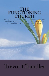 The Functioning Church